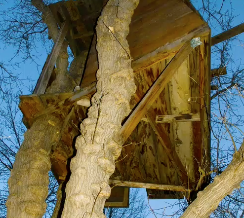 Ch. 8: Adjusting Colors