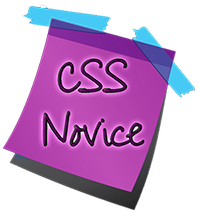 CSS Novice